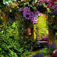 Secret Garden acoustic cover