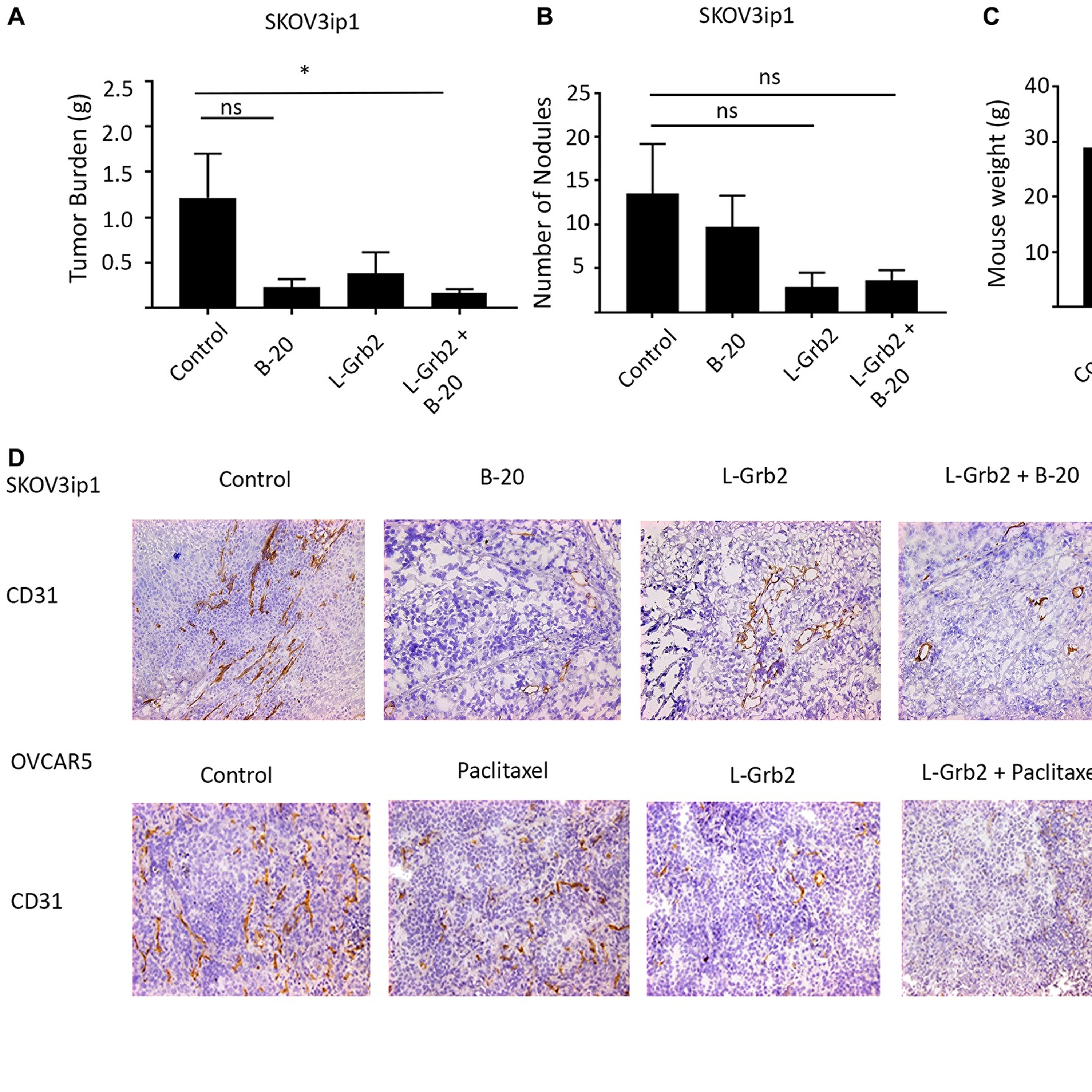 Oncotarget