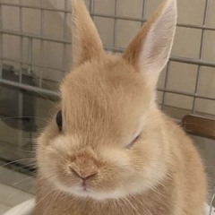 BB i Eat hUmans..