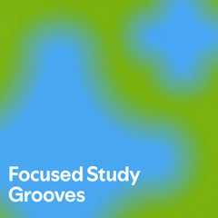 Focused Study Grooves