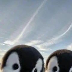 Pictures (JSO, Valentine) - ft. dimsums