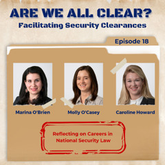 Reflecting on Careers in National Security Law