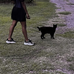 watching steps that you take