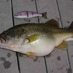 This needs more bazzz and kickzzz