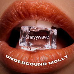 Underground Molly (HAYTERWAVE Club Mix)