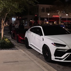 You could never (flexwrld remix)