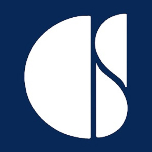 AI Consulting Services by CS Soft Solutions