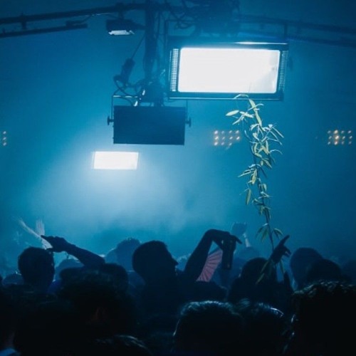 Just can't get enough