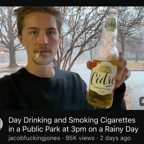 4 beer 2 cigarettes Stream bitcrushed Ａ都市の秋 by cornball