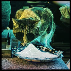 Dark Bayron - Soy Rebelde (Cat On Cocaine Remastered Edit) [Free DL]