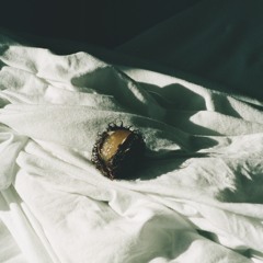 Sisters On The Ladder