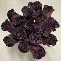 The Truth (Quintin Songwars Semi Finals)