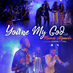 You're My God (Live) [feat. Dunsin Oyekan]