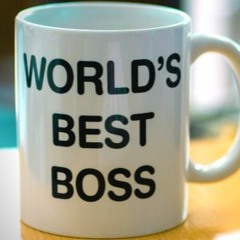 What Makes a "Good" Boss?