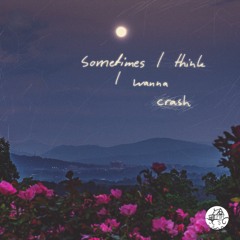 Feelnum - Sometimes I Think I Wanna Crash (w/ Lilac Heart)