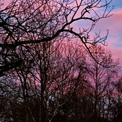 After the Snowstorm, Clouds in Conversation