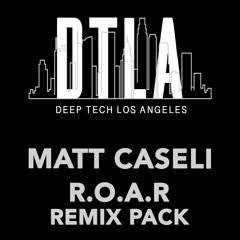 Matt Caseli - R.O.A.R Remix Pack