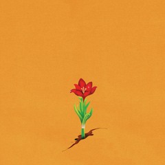 Archetypes (teaser) | New Album Out Dec. 2020
