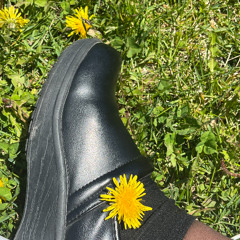 I'M NOT AFRIAD TO BE SEEN TRYING