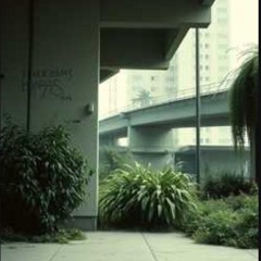 Silent Corners