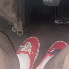 WALK TO THE BACK W ME