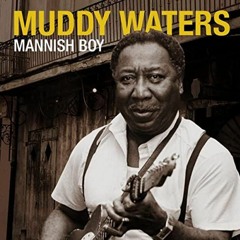 E. Leggo - Bass Ass  & Muddy Waters - I'm Your Hoochie Coochie Man (Blues Hop Mashup)