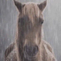 Rain - Jack Stauber (Remix)