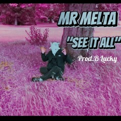 See It All (Prod. B Lucky )