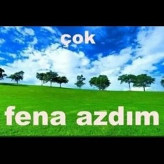 donerim deliye