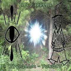 Ciclo irreal w/Yungct