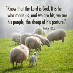 الرب هو الله. هو صنعنا