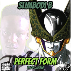 Slimbodi B - Perfect Form prod Quario