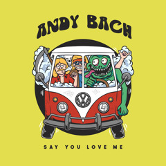 PREMIERE: Andy Bach - Feel Something [Lisztomania Records]
