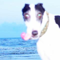 éfi