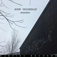 Aude Vaisselle- Les avions qui passent