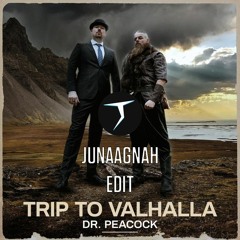 Dr. Peacock - Trip To Valhalla (KRYZE Edit)
