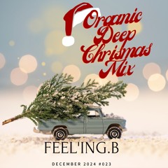 ORGANIC DEEP X-MASS MIX - #023 - [DEC 2024]
