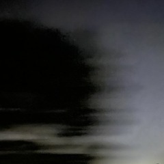 The Alien Fight At Dawn