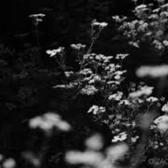 TRAIN // FIRST ARSCH