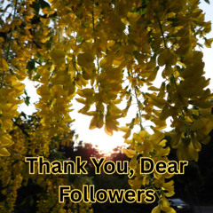Thank You Dear Followers
