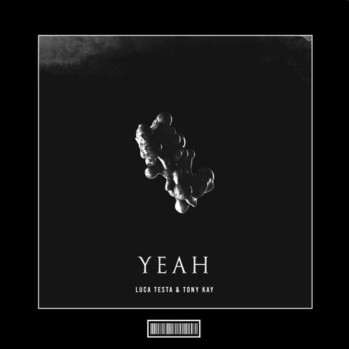 Luca Testa & Tony Kay - Yeah [Techno Remix]