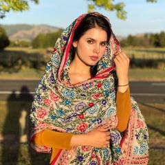 Ja Ve Sajjna - Jassa Dhillon