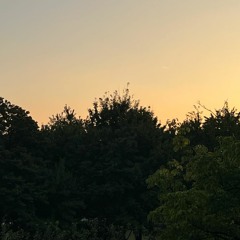 [이달의 마음 ; Mood of the month] Consolation