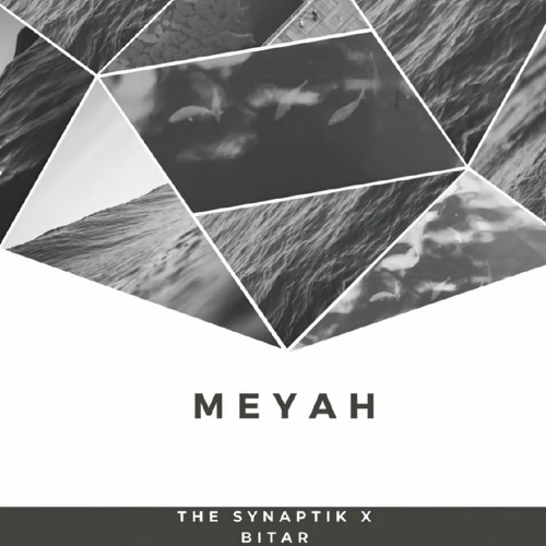 The Synaptik × Bitar - Meyah [مياه]