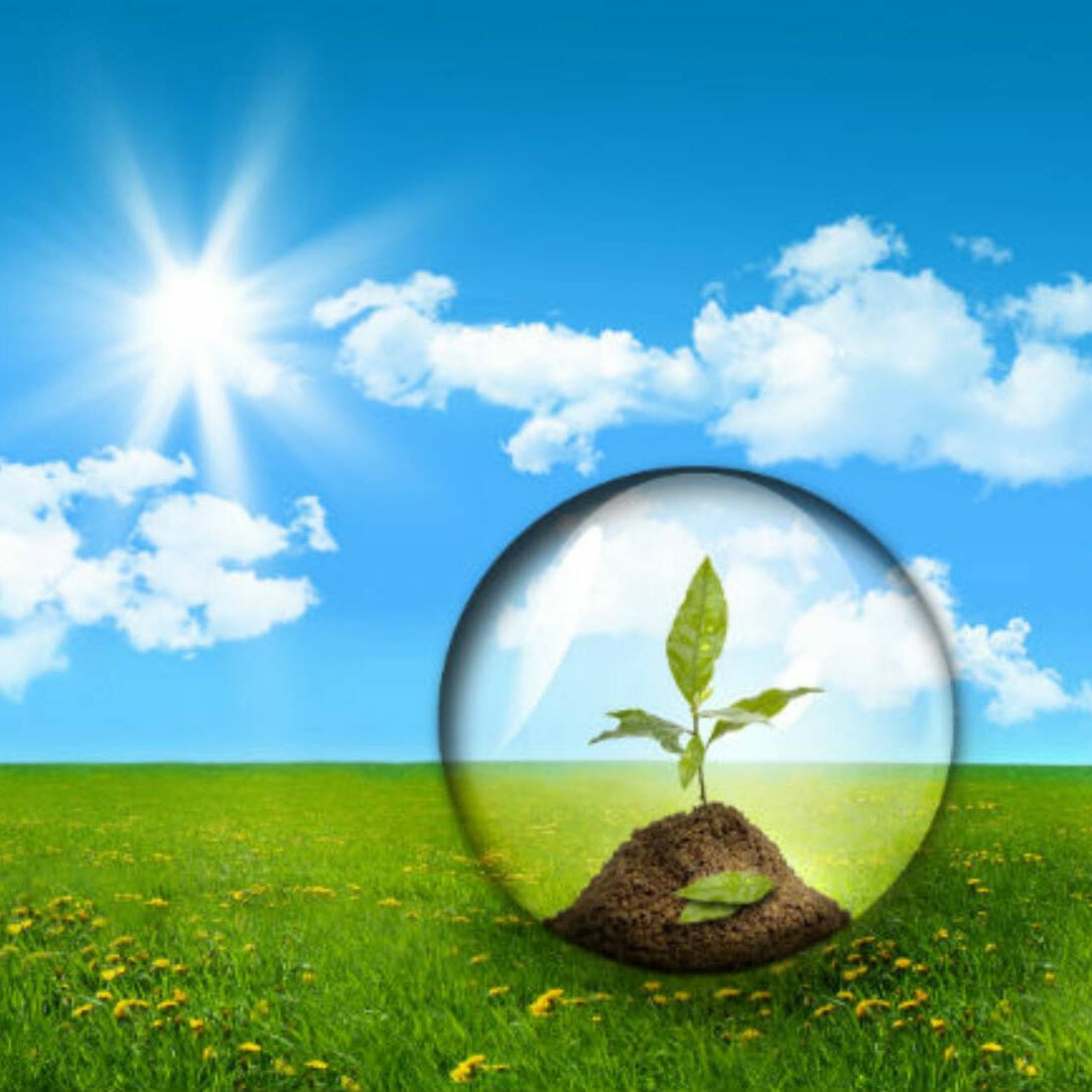 Environmental Responsibility (Rabbi Sacks on Shoftim, Covenant & Conversation)