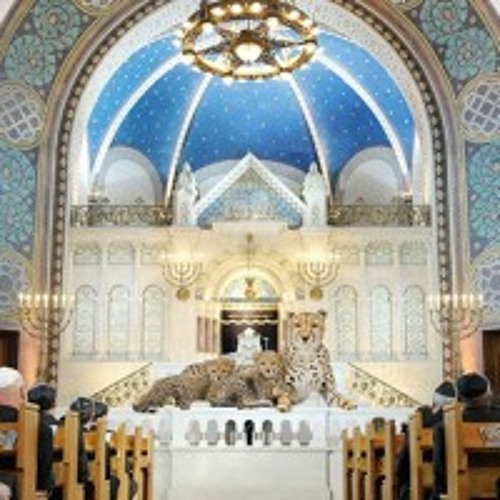 Synagogue Of The Cheetah