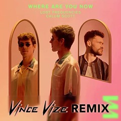 Lost Frequencies - Where Are You Now (VINCE VIZE Remix)