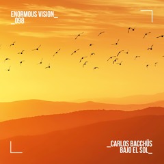Carlos Bacchüs - Bajo El Sol
