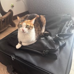 Mila's Session - 10/24