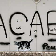 all cats are beautiful